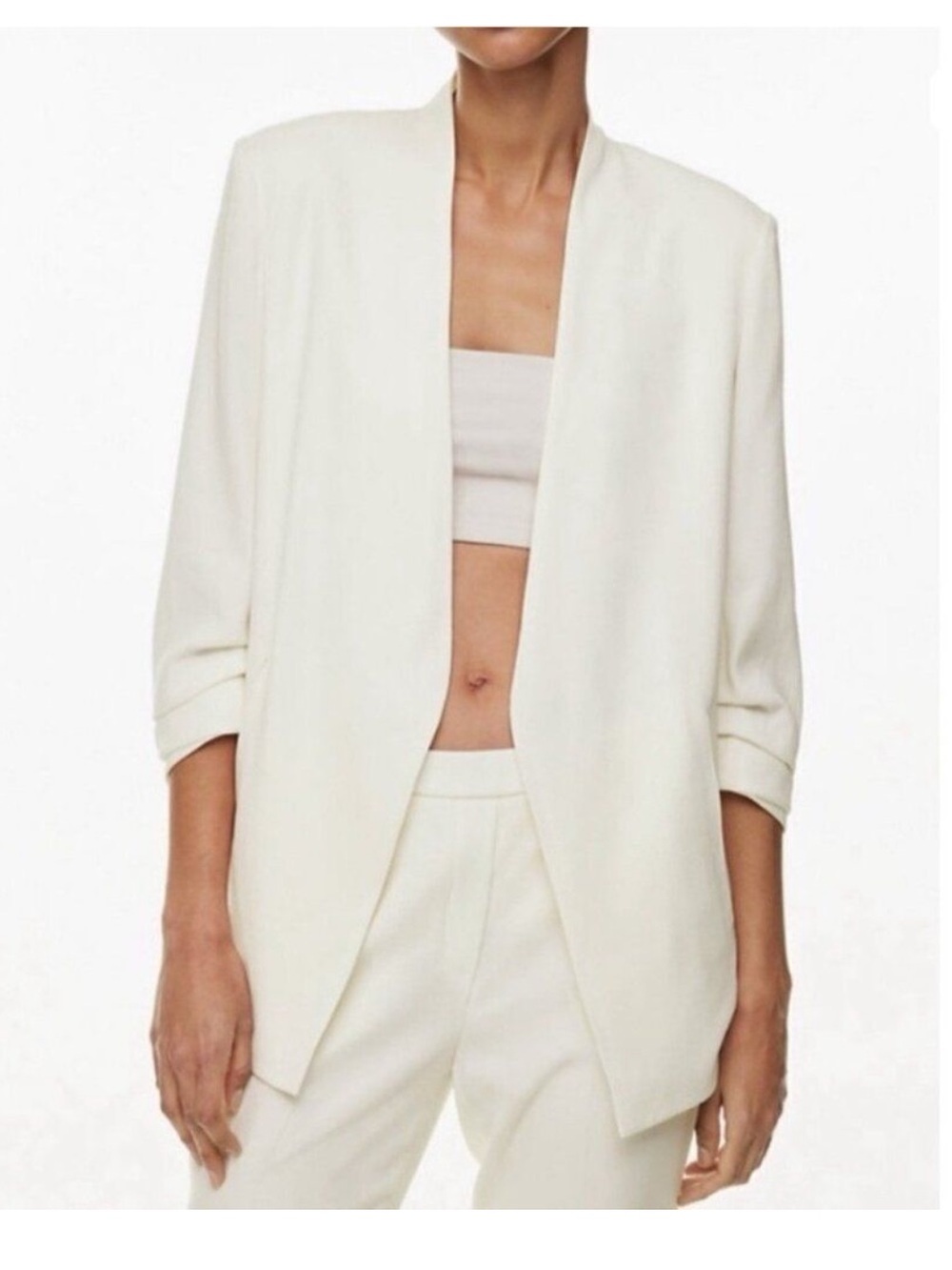 Aritzia Babaton Power Blazer